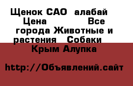 Щенок САО (алабай) › Цена ­ 10 000 - Все города Животные и растения » Собаки   . Крым,Алупка